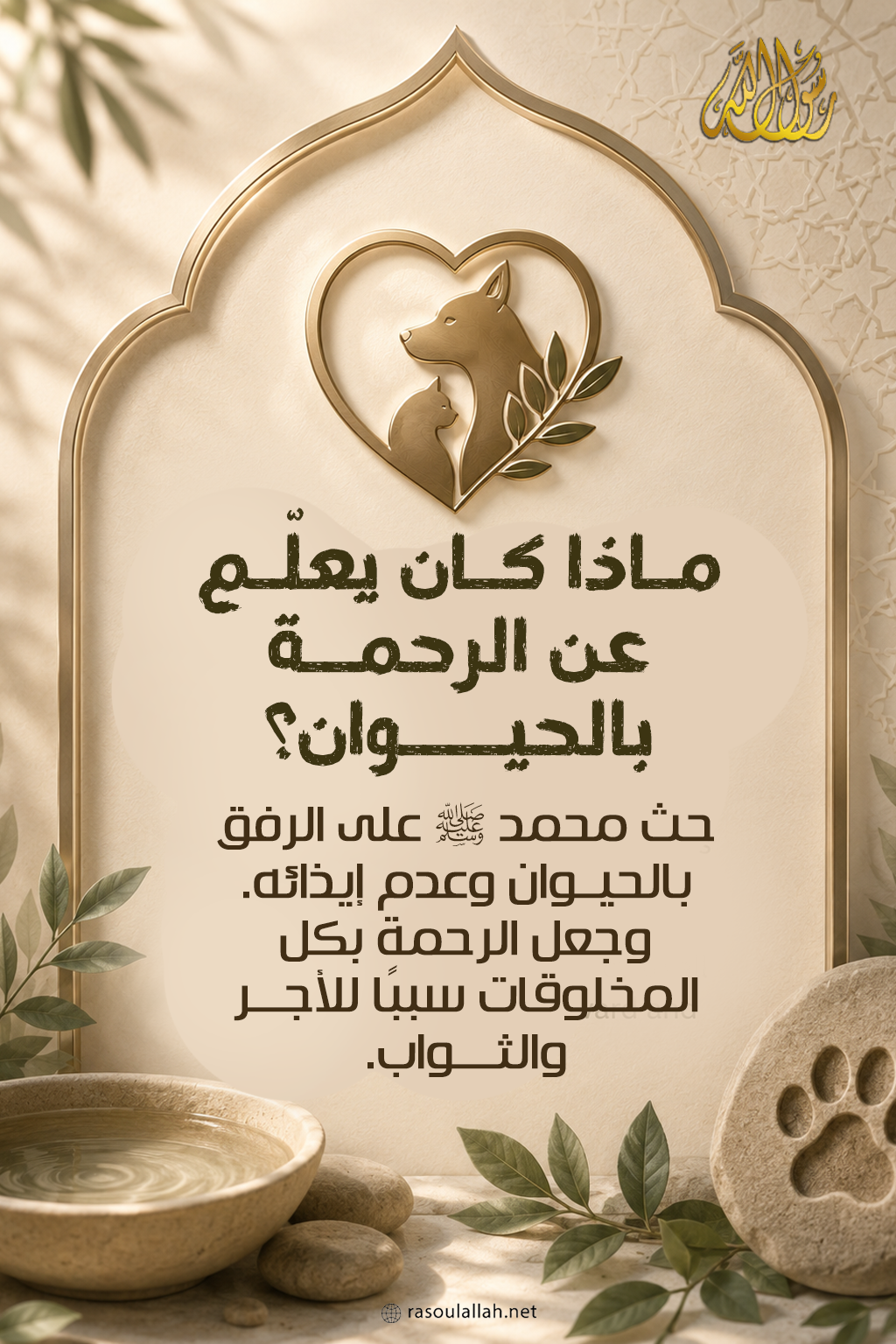 photo_ماذا كان يعلّم عن الرحمة بالحيوان؟