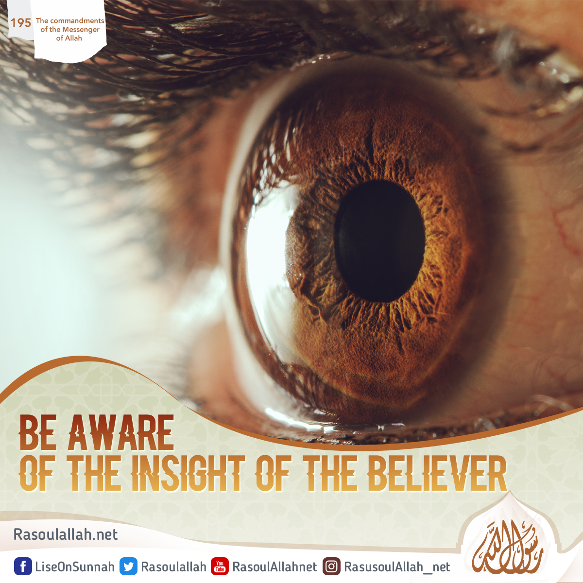 Be aware of the insight of the believer