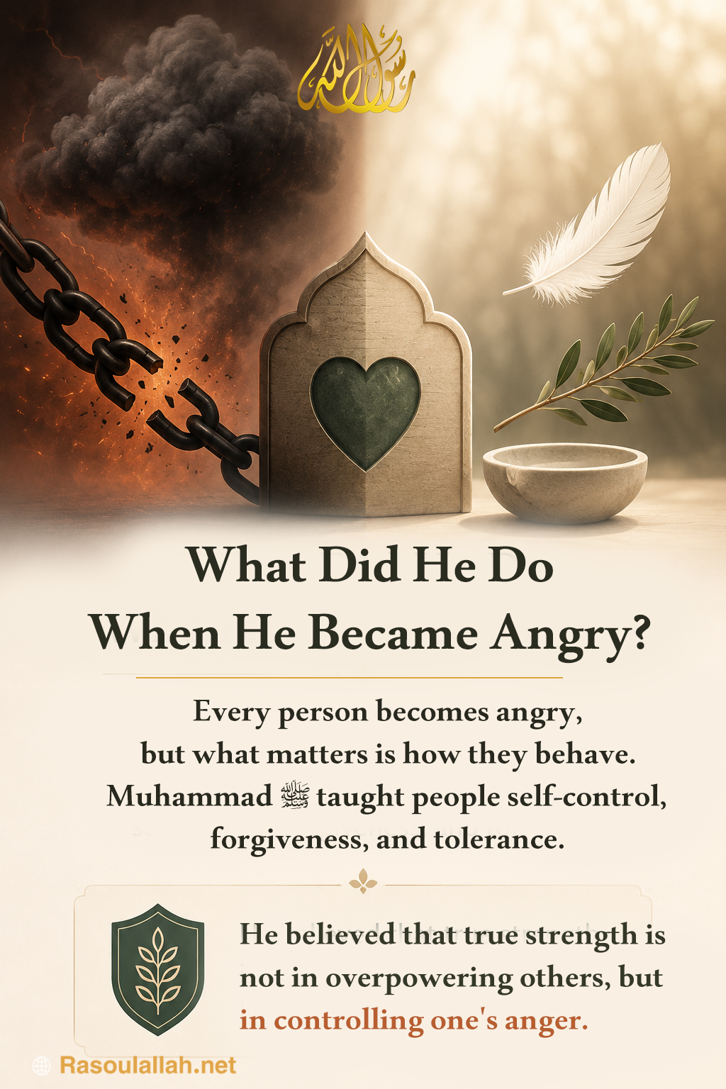 photo_What Did He Do When He Became Angry?