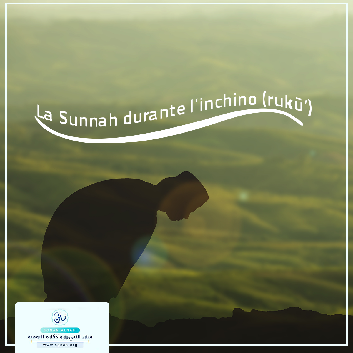 La Sunnah durante l’inchino (rukū’)