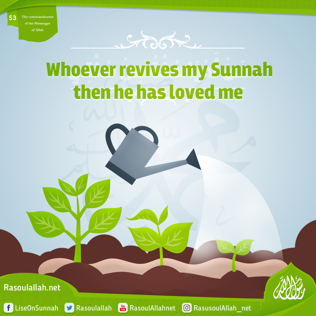 photo_Whoever revives my Sunnah then he has loved me