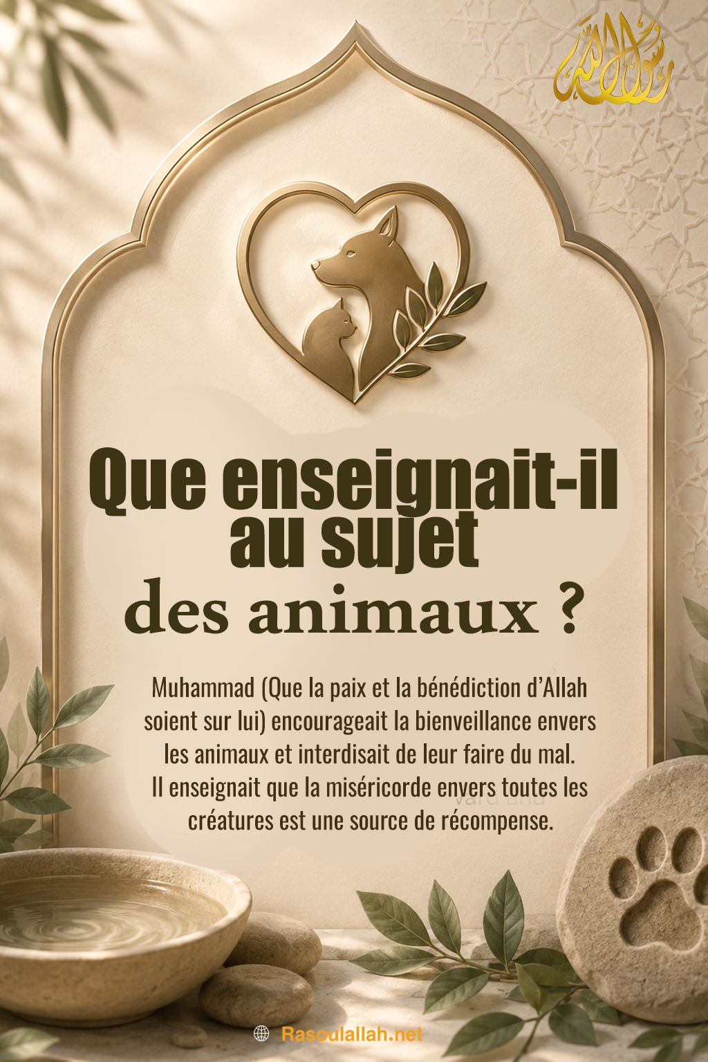 photo_Que enseignait-il au sujet des animaux ?