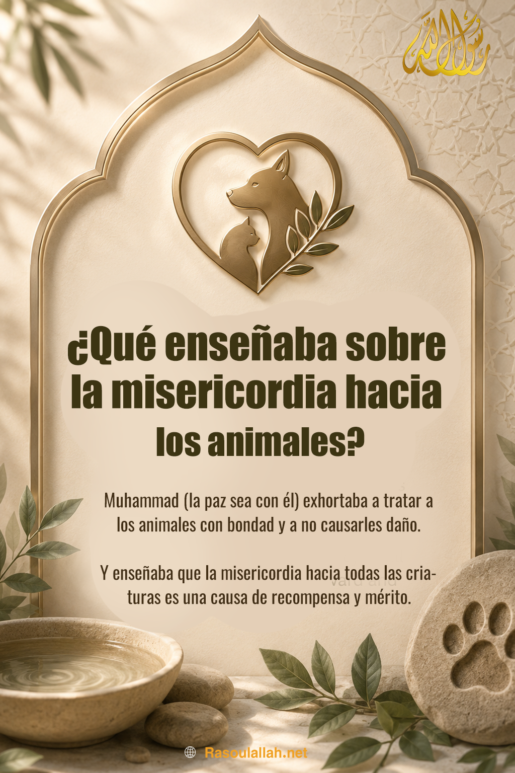 ¿Qué enseñó sobre la misericordia hacia los animales?