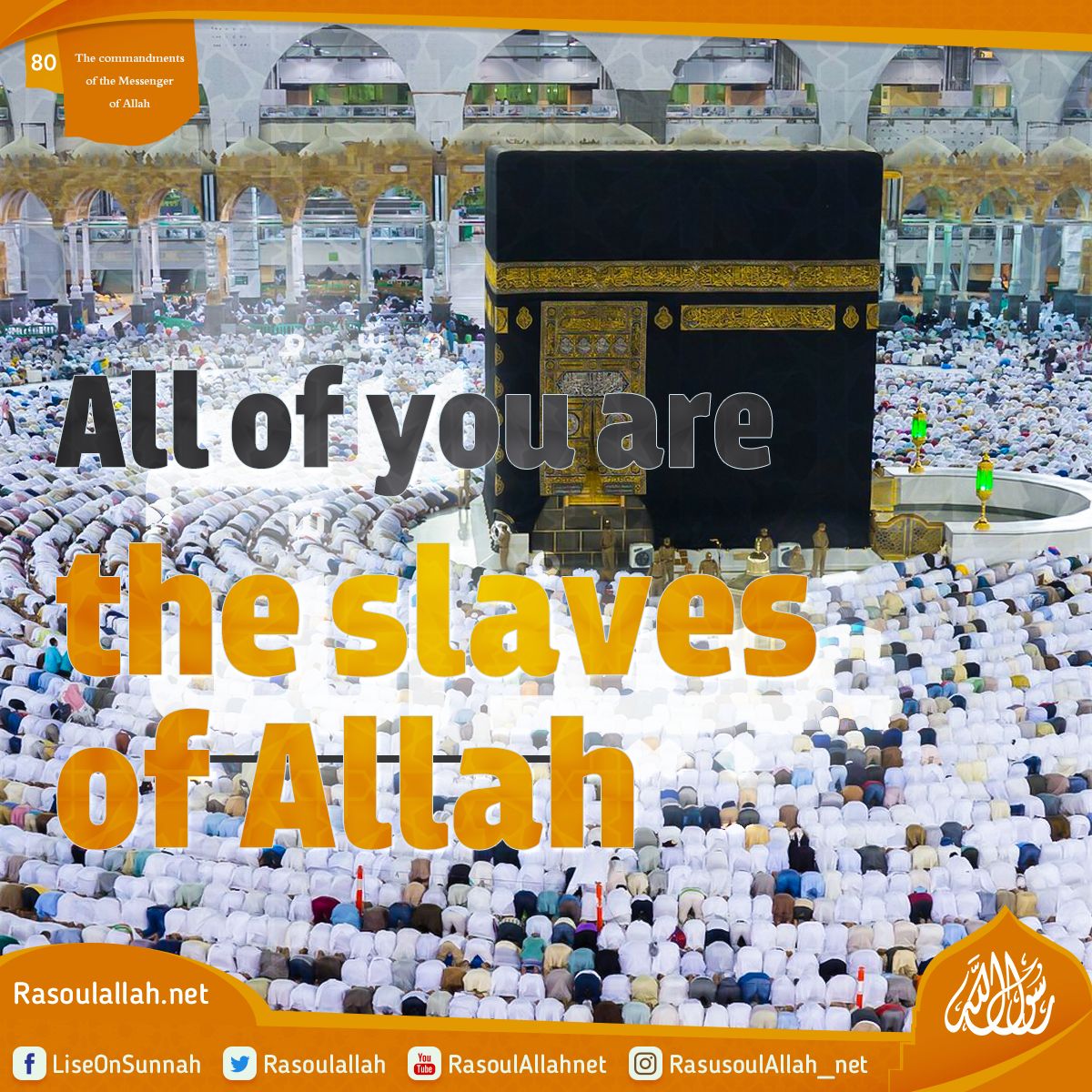 photo_All of you are the slaves of Allah